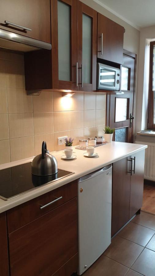 Kaizen Apartament Krynica Zdroj Eksteriør bilde